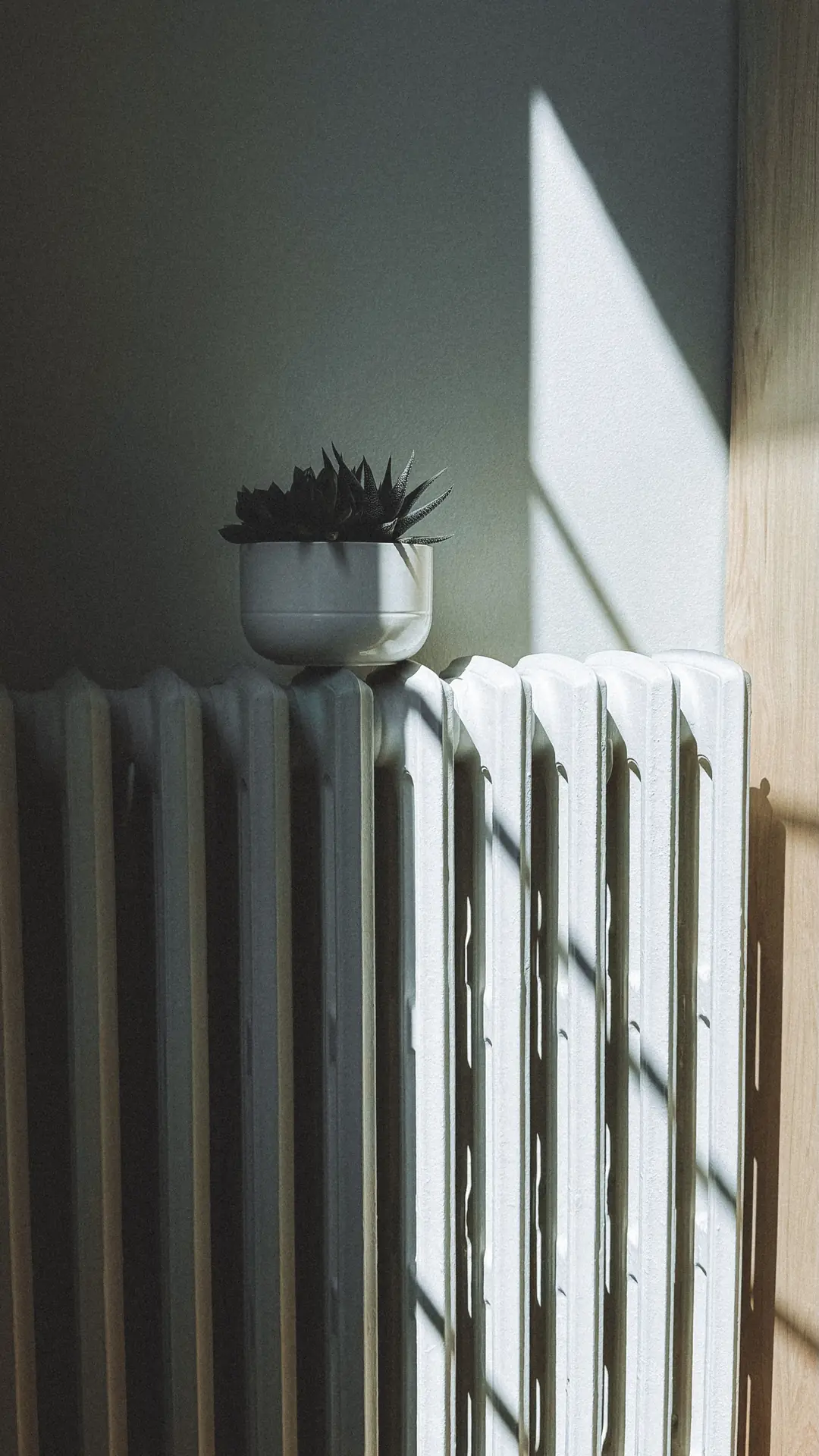 Radiateur en fonte peint en blanc, une plante grasse posée dessus, éclairé par la lumière d’une fenêtre